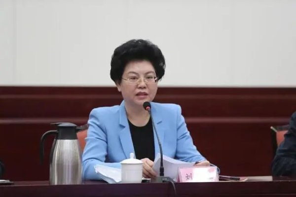 手机股票配资app 正部级！十三届全国政协教科卫体委员会副主任刘慧涉嫌严重违纪违法被查